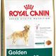 Royal canin golden retriever adult