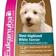 Eukanuba dog west highland white terrier