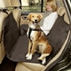 Autodeken car safe