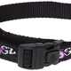 Rogz for dogs beach bum halsband, neon chrome