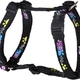 Rogz for dogs beach bum tuig, neon chrome