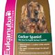 Eukanuba hond cocker spaniël Eukanuba hond cocker spaniël