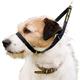 Canny collar innovatieve trainingshalsband