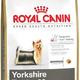 Royal canin yorkshire terriër adult