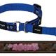 Rogz for dogs scooter choker, choco feminine