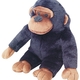 Happy pet big buddy chucky the chimp