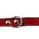 Ploeg halsband leer