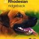Over dieren de rhodesian ridgeback