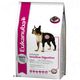 Eukanuba Daily Care Sensitive Digestion Eukanuba Daily Care Sensitive Digestion