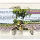 Dierendrogist natuur vitamine bommetjes naturel +/
