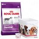 Royal Canin Puppy-pakket Giant Junior