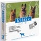 Kiltix band grote hond