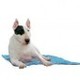 Aqua coolkeeper cool mat