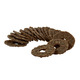 Premier bristle bone kauwringen Premier bristle bone kauwringen