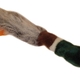 Happy pet pluche animals, wilde eend Happy pet pluche animals, wilde eend