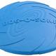 Ipts rubber frisbee, dog