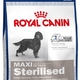 Royal canin maxi sterilised