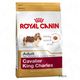 Royal canin breed cavalier king charles adult hondenvoer