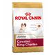 Royal canin breed hondenvoer  cavalier king charles junior  voordeelpak