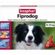 ! fiprodog ! fiprodog
