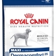 Royal canin maxi dermacomfort