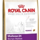 Royal canin maltese adult