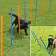 Agility Fun & Sport slalom-set Agility Fun & Sport slalom-set