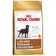 Royal Canin Breed Sterilised Labrador Retriever Adult