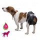 Savic Hondenluier Comfort Nappy Savic Hondenluier Comfort Nappy