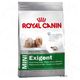 Royal Canin Mini Exigent Royal Canin Mini Exigent