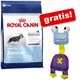 Grote Royal Canin + hondenspeeltje Elastic GRATIS! Grote Royal Canin + hondenspeeltje Elastic GRATIS!