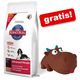 Grote zak Hill's Canine + Stier Emil GRATIS! Grote zak Hill's Canine + Stier Emil GRATIS!