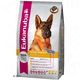 Eukanuba Breed German Shepherd