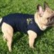 Medical pet shirt konijn xs Medical pet shirt konijn xs