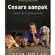 Cesars aanpak ho Cesars aanpak ho