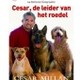 Cesar de leider van het roedel ho Cesar de leider van het roedel ho