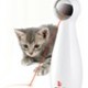 Frolicat bolt laserstraal