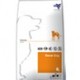 Sanypet renal dog
