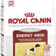 Royal canin energy Royal canin energy