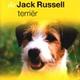 Boek over dieren de jack russel terrier Boek over dieren de jack russel terrier