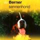 Boek over dieren de berner sennenhond Boek over dieren de berner sennenhond