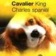 Boek over dieren de cavalier king charles spaniel