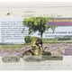 Dierendrogist natuur vitamine bommetjes zeewier +/