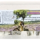 Dierendrogist natuur vitamine bommetjes glucochondran +/ Dierendrogist natuur vitamine bommetjes glucochondran +/