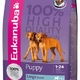 Eukanuba dog puppy