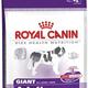 Royal canin giant adult