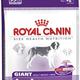 Royal canin giant junior Royal canin giant junior