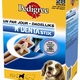 Pedigree dentastix multipack Pedigree dentastix multipack