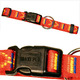 Halsband inka xs