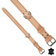 Hondenhalsband vegas